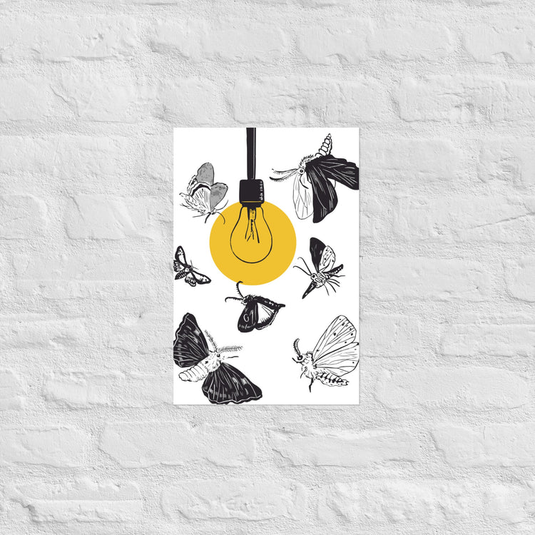 Wimmeldesigns